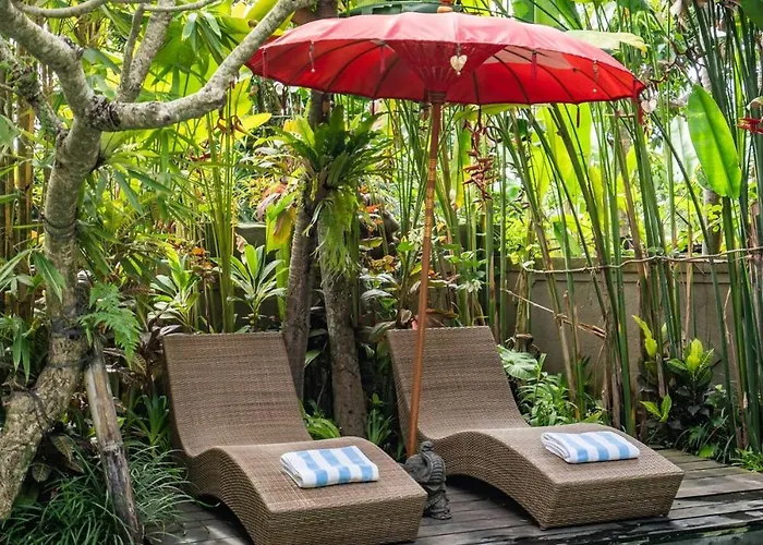 Where Art And Relaxation Meet In Tropical Paradise Villa